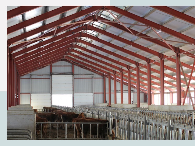 Строительство коровников в Новом Уренгое