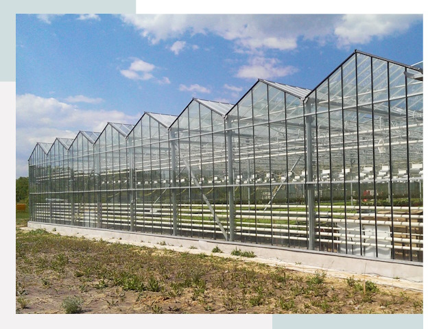 Строительство теплиц в Новый Уренгой от 624 руб. за м²